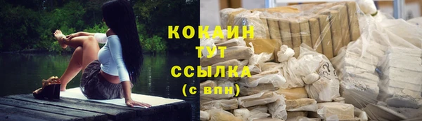 шишки Волоколамск