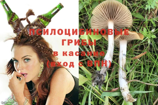 шишки Волоколамск