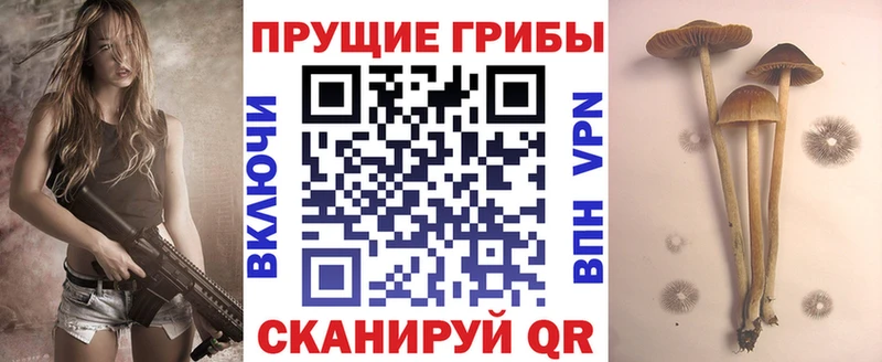 ссылка на мегу как зайти  Духовщина  Галлюциногенные грибы прущие грибы  цены  
