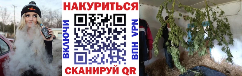 Бошки Шишки гибрид  Духовщина 